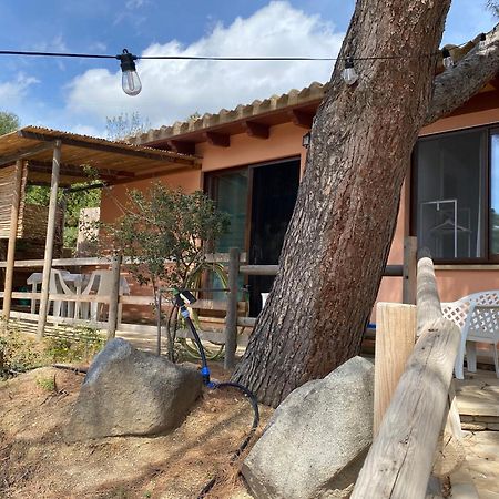 Отель Casa Daniela Торре-делле-Стелле Экстерьер фото